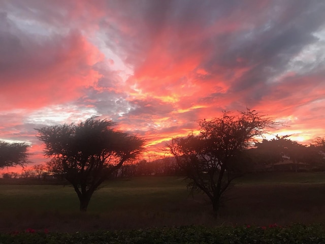 view of nature at dusk