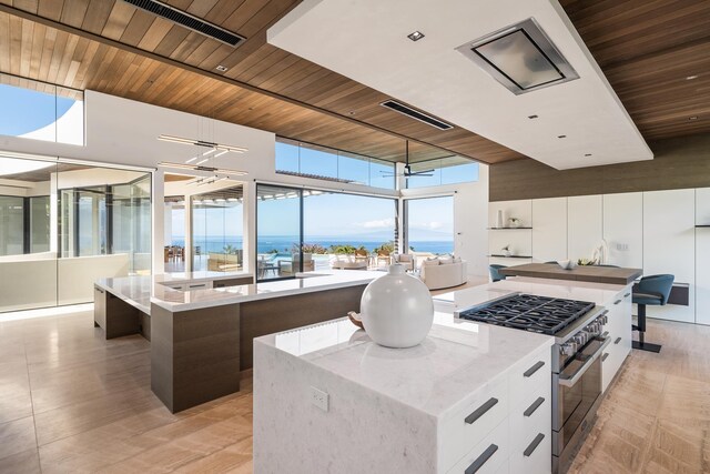 14 Halapa Pl, Kihei, HI 96753 - kitchen featuring high end stove, a large island, wooden ceiling, modern cabinets, and plenty of natural light