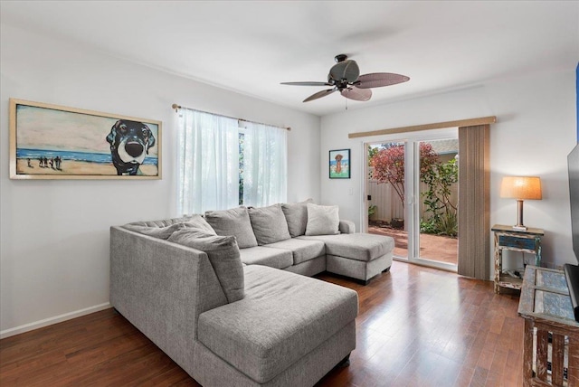 living room featuring plenty of natural light, dark hardwood / wood-style floors, and ceiling fan