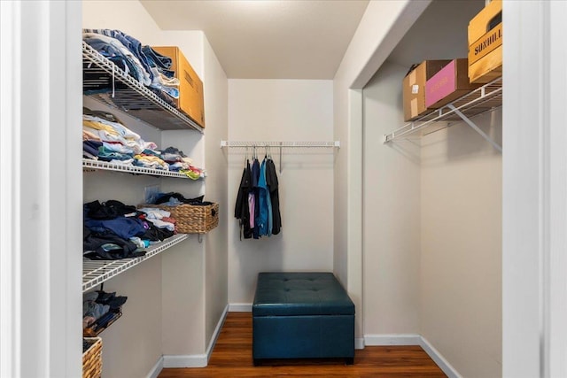 spacious closet featuring dark hardwood / wood-style floors