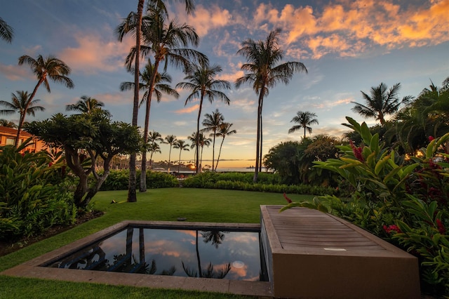 pool at dusk with a lawn