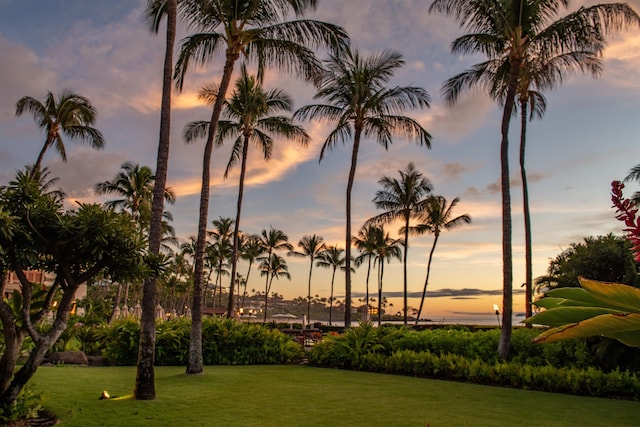 view of property's community with a lawn