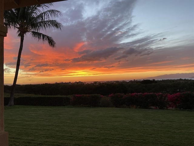 view of yard at dusk