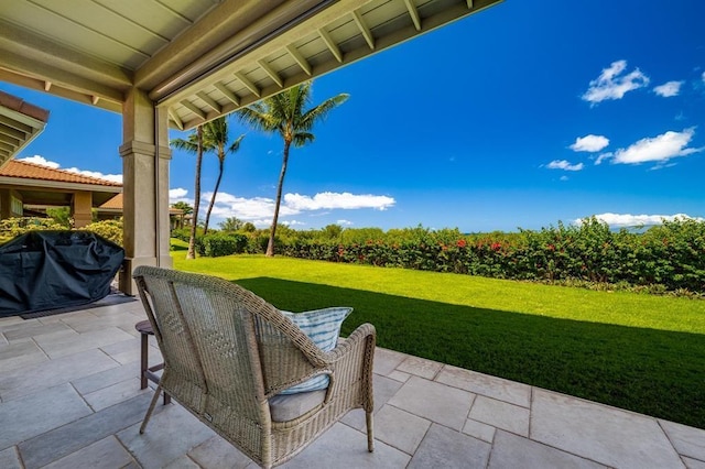 view of patio / terrace with grilling area