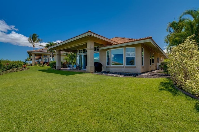 back of property with a patio area and a yard