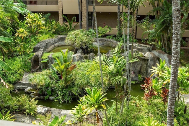 3615 Lower Honoapiilani Rd Unit 317, Lahaina, HI 96761 - view of yard featuring a small pond