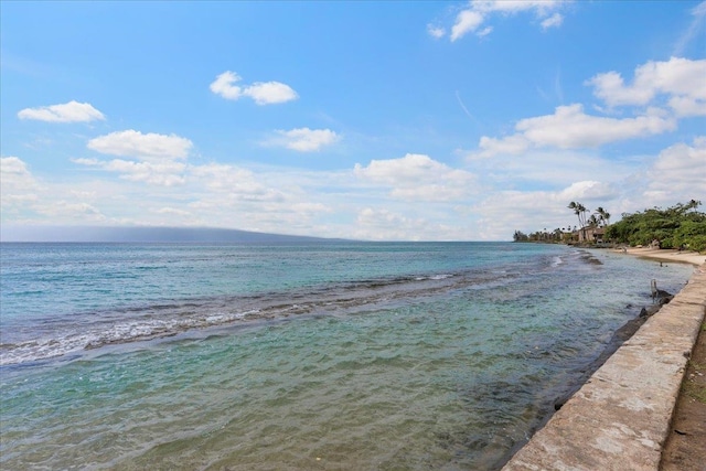 property view of water featuring a beach view