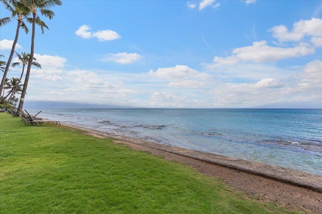 property view of water with a beach view