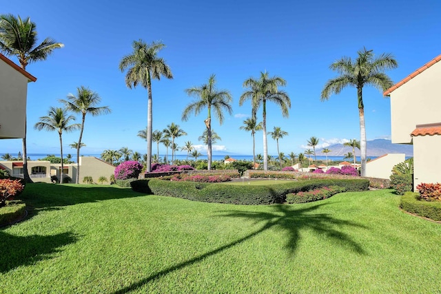 3150 Wailea Alanui Dr Unit 3807, Kihei, HI 96753 - view of yard