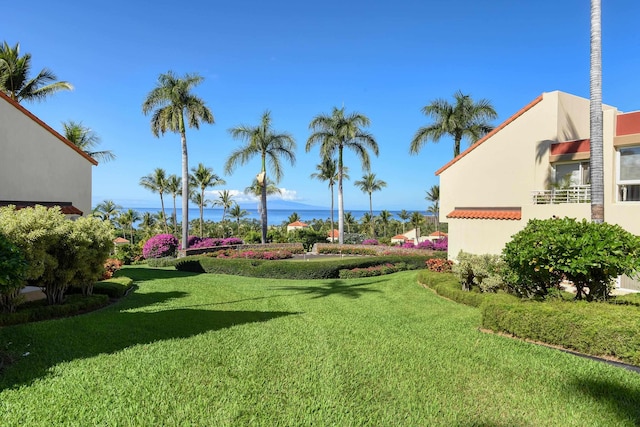 3150 Wailea Alanui Dr Unit 3807, Kihei, HI 96753 - view of yard