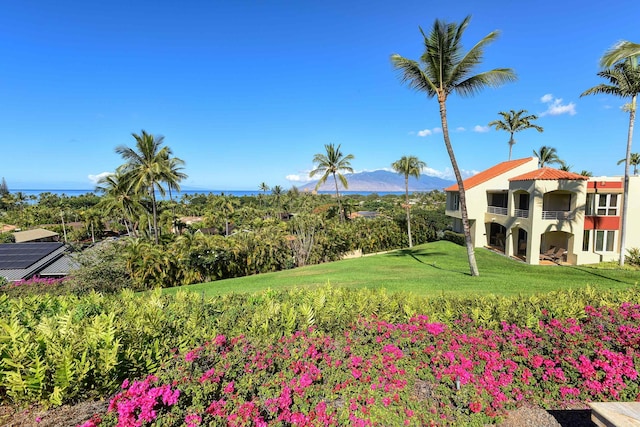 3150 Wailea Alanui Dr Unit 3807, Kihei, HI 96753 - view of home's community with a mountain view and a yard