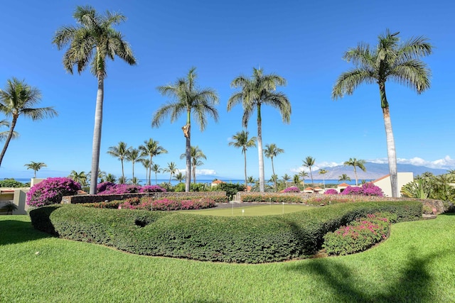 3150 Wailea Alanui Dr Unit 3807, Kihei, HI 96753 - view of property's community with a lawn
