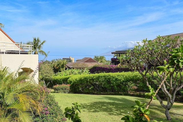 3150 Wailea Alanui Dr Unit 3807, Kihei, HI 96753 - view of yard