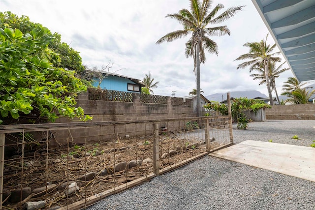 view of yard featuring a patio area