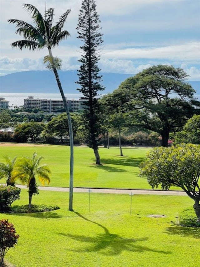 view of property's community with a lawn