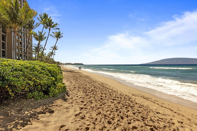 water view featuring a view of the beach