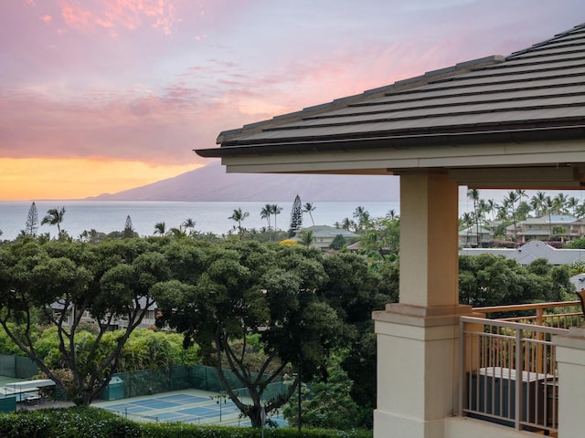 161 Wailea Ike Pl Unit D201, Kihei, HI 96753 - water view