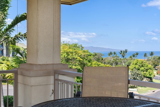 161 Wailea Ike Pl Unit D201, Kihei, HI 96753 - balcony featuring a water view