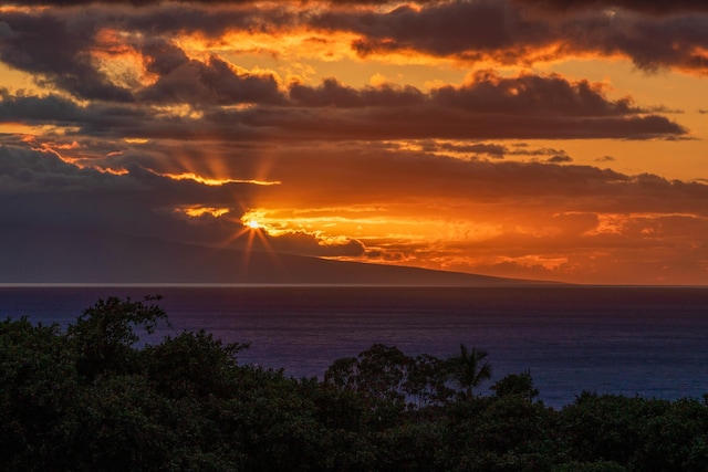 161 Wailea Ike Pl Unit D201, Kihei, HI 96753 - water view