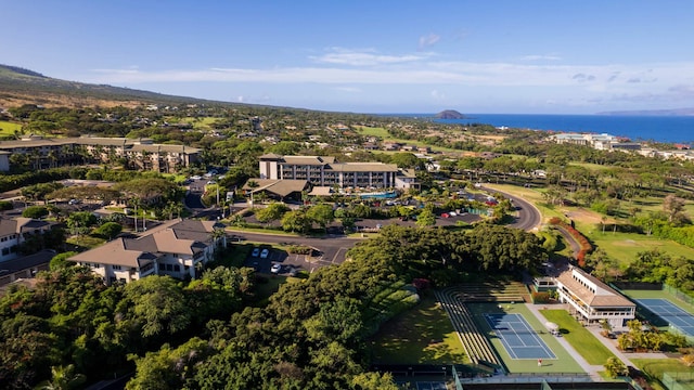 161 Wailea Ike Pl Unit D201, Kihei, HI 96753 - aerial view of a nearby body of water