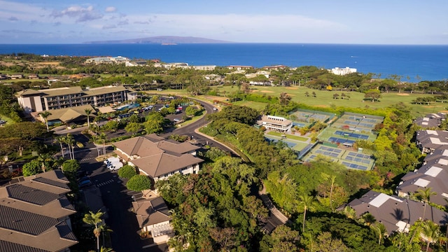 161 Wailea Ike Pl Unit D201, Kihei, HI 96753 - aerial view of property's location with a large body of water
