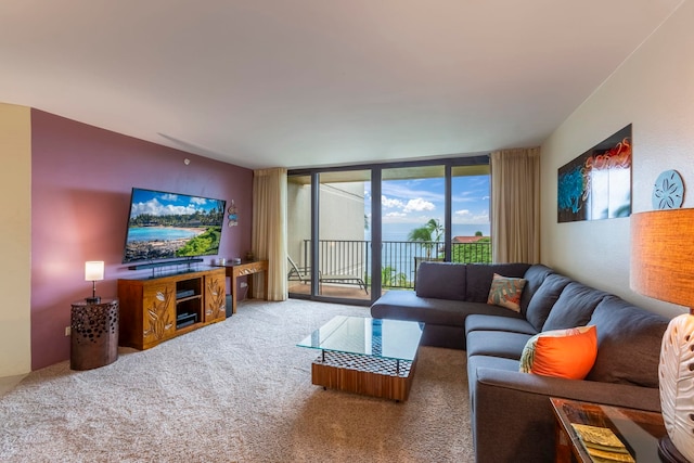 carpeted living room with a wall of windows