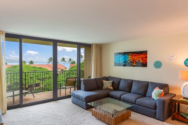 carpeted living room with expansive windows