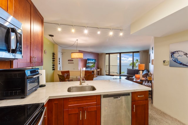 kitchen featuring sink, kitchen peninsula, stainless steel appliances, and rail lighting