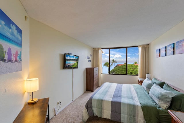 bedroom featuring a textured ceiling and carpet floors