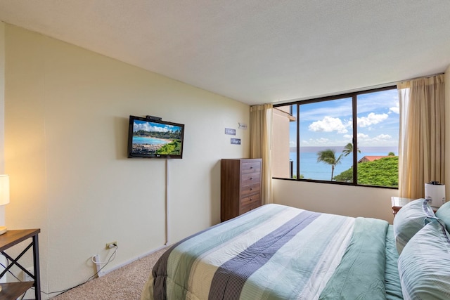 carpeted bedroom with a textured ceiling