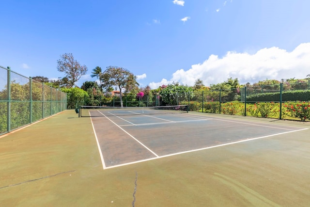 50 Puu Anoano St Unit 503, Lahaina, HI 96761 - view of tennis court with community basketball court