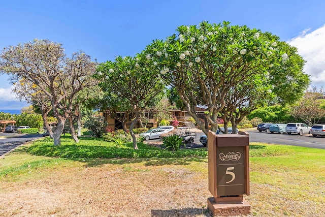 50 Puu Anoano St Unit 503, Lahaina, HI 96761 - exterior view of parking