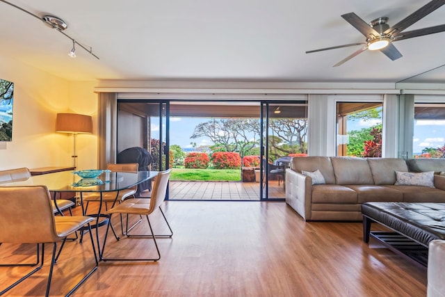 50 Puu Anoano St Unit 503, Lahaina, HI 96761 - living area with wood finished floors, ceiling fan, and track lighting