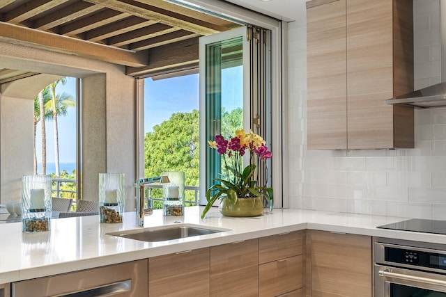 kitchen with sink, plenty of natural light, wall chimney range hood, and appliances with stainless steel finishes