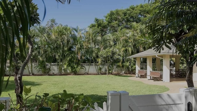 view of yard featuring a patio area