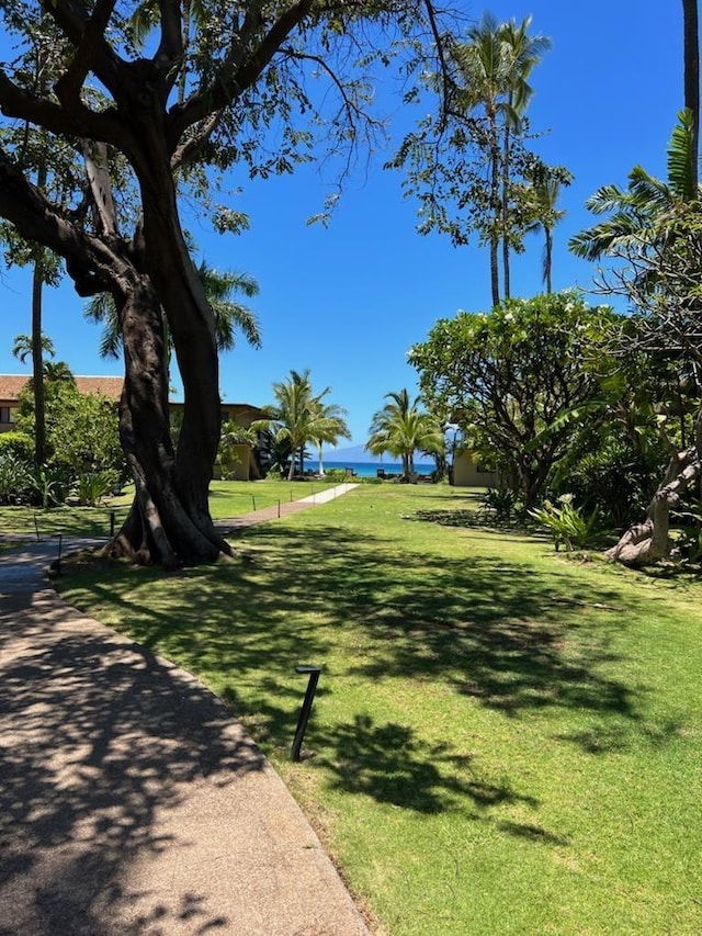 3559 Lower Honoapiilani Rd Unit 709, Lahaina, HI 96761 - view of property's community featuring a yard