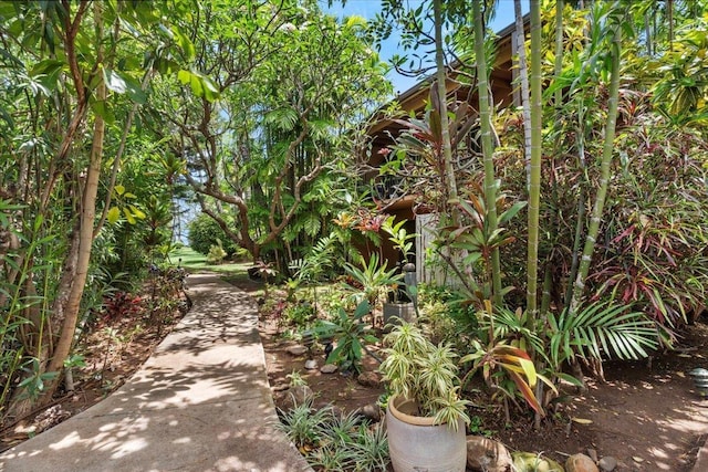 3559 Lower Honoapiilani Rd Unit 709, Lahaina, HI 96761 - exterior space