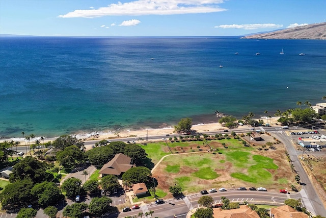 bird's eye view featuring a view of the beach and a water view