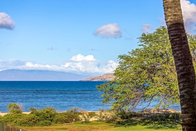 water view featuring a mountain view