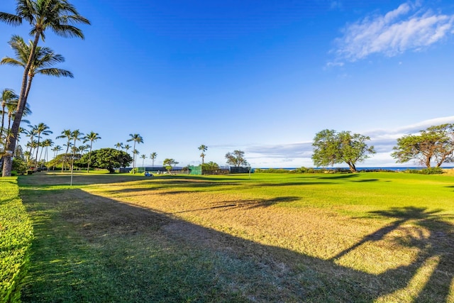 view of community with a lawn