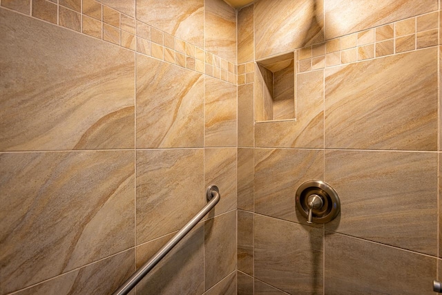 interior details with tiled shower