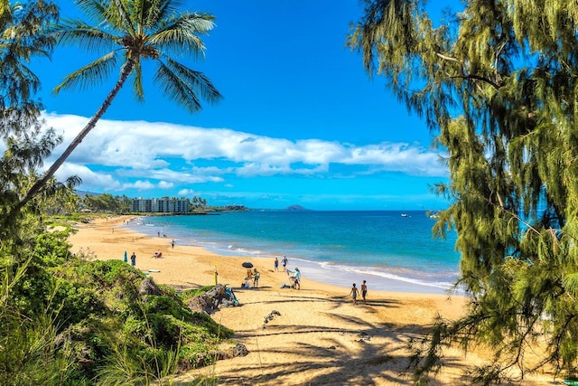 water view featuring a view of the beach