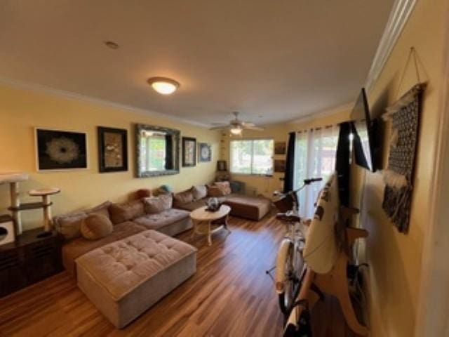 44 Kanani Rd Unit 1-104, Kihei, HI 96753 - living area with ornamental molding, wood finished floors, and ceiling fan
