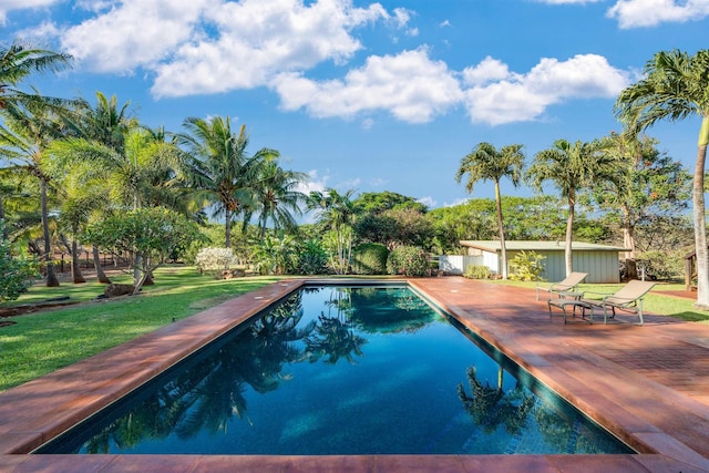 view of pool featuring a yard and a patio