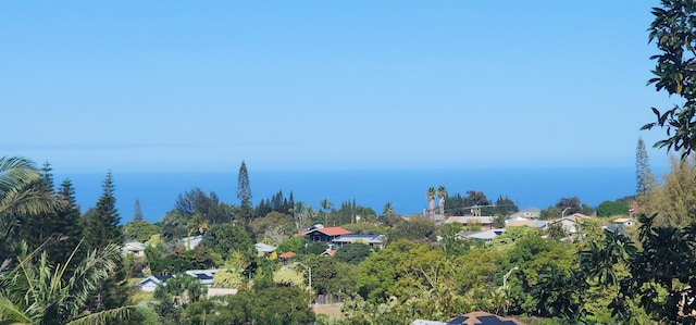 water view
