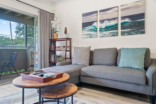 living room with hardwood / wood-style floors