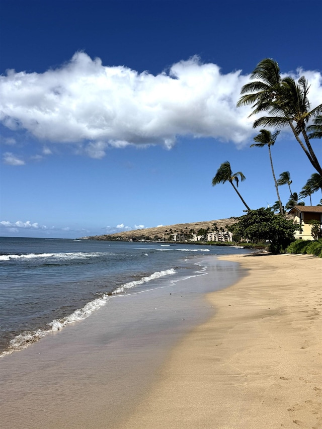 water view with a view of the beach