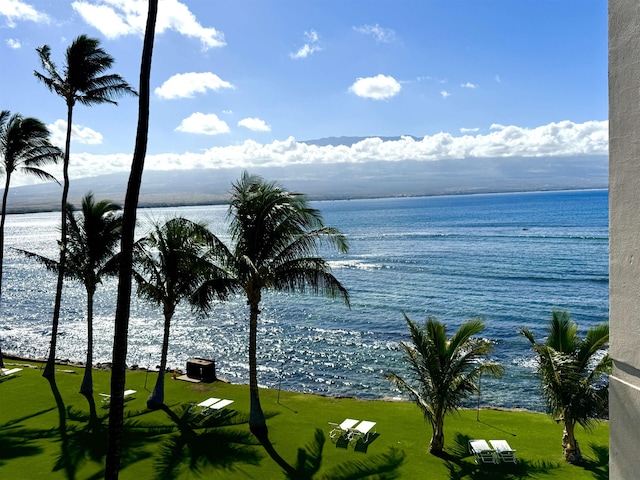 property view of water