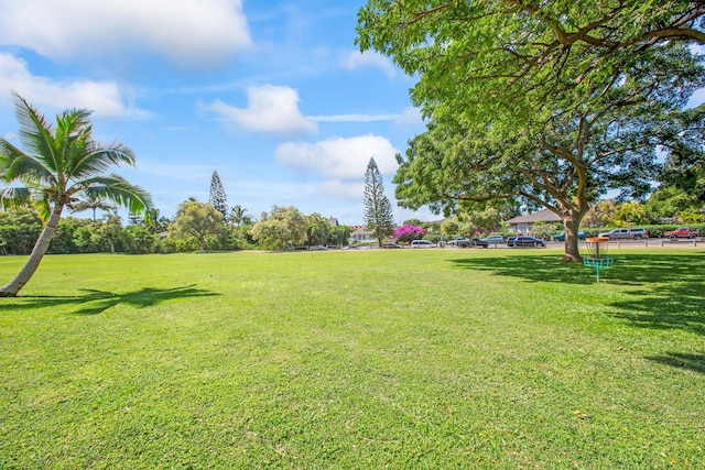 160 Keonekai Rd Unit 11-201, Kihei, HI 96753 - view of green lawn