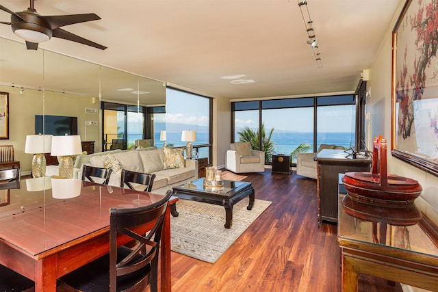 living area featuring a ceiling fan, track lighting, and wood finished floors